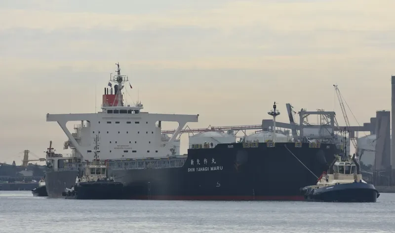SHIN YAHAGI MARU Bulk Carrier IMO 9682758 photo 8