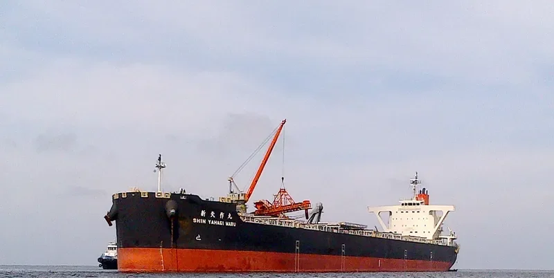 SHIN YAHAGI MARU Bulk Carrier IMO 9682758 photo 9
