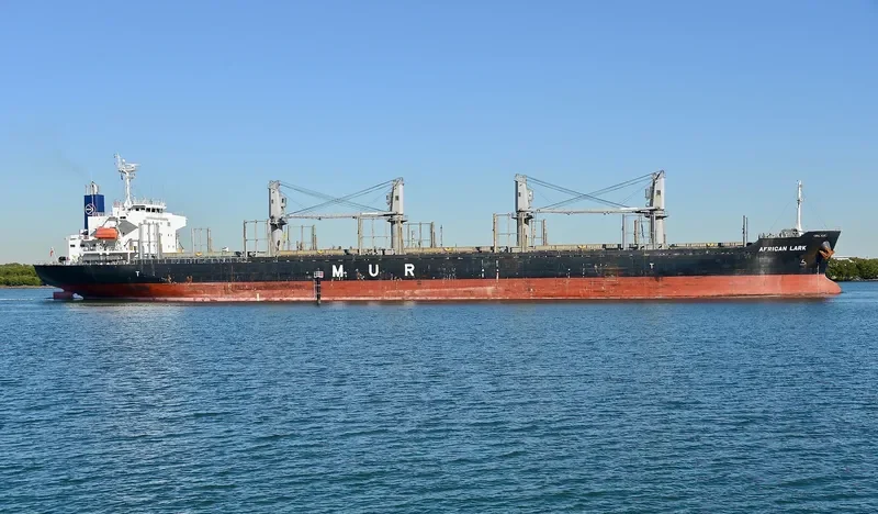 AFRICAN LARK Bulk Carrier IMO 9682760