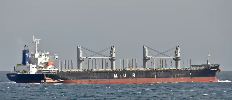 AFRICAN LARK Bulk Carrier IMO 9682760 photo 3