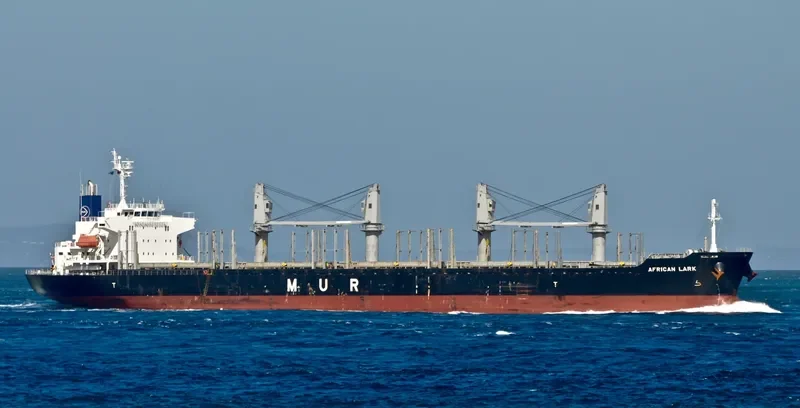 AFRICAN LARK Bulk Carrier IMO 9682760 photo 4