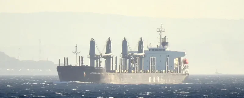 AFRICAN LARK Bulk Carrier IMO 9682760 photo 5