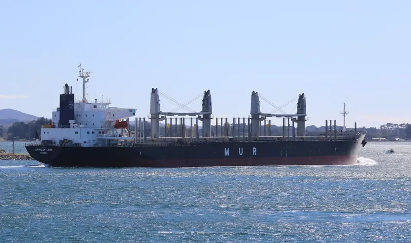 AFRICAN LARK Bulk Carrier IMO 9682760 photo 7