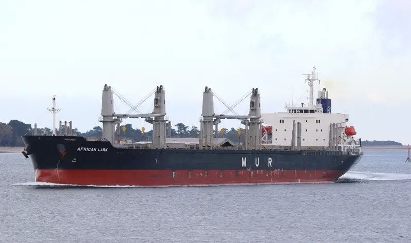 AFRICAN LARK Bulk Carrier IMO 9682760 photo 8