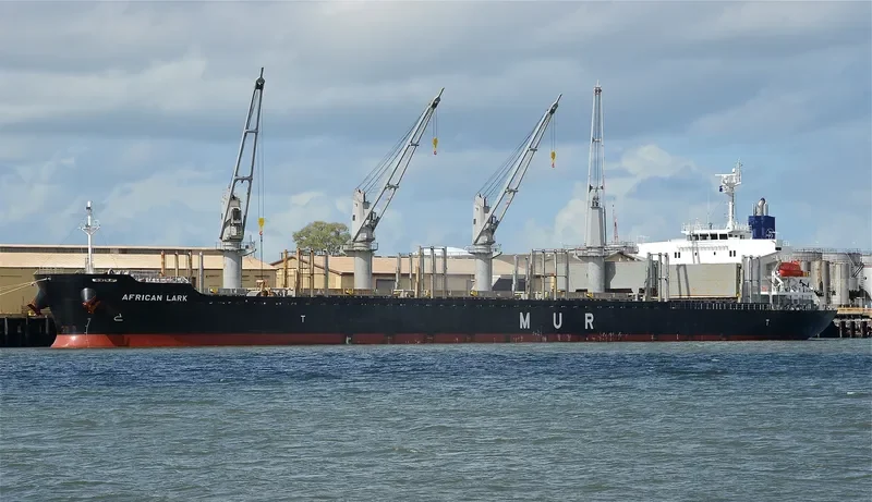AFRICAN LARK Bulk Carrier IMO 9682760 photo 9