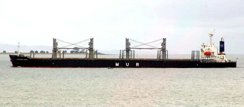 AFRICAN LARK Bulk Carrier IMO 9682760 photo 10