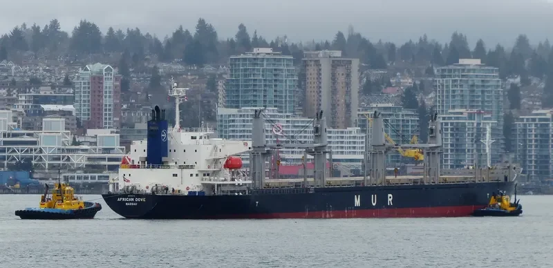 AFRICAN DOVE Bulk Carrier IMO 9682772
