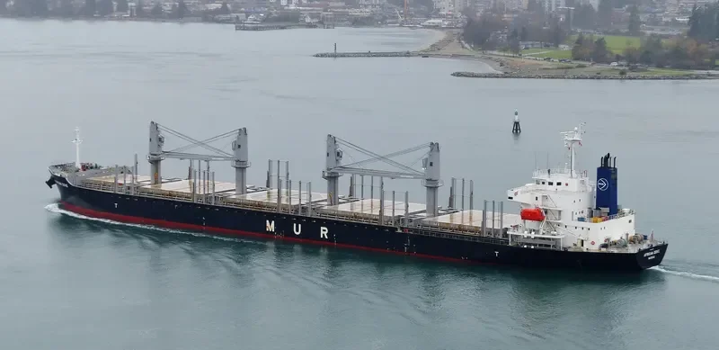 AFRICAN DOVE Bulk Carrier IMO 9682772 photo 2