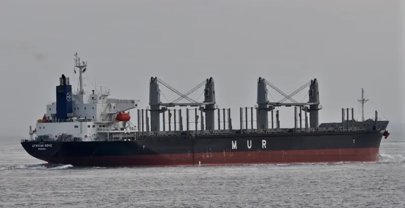 AFRICAN DOVE Bulk Carrier IMO 9682772 photo 3