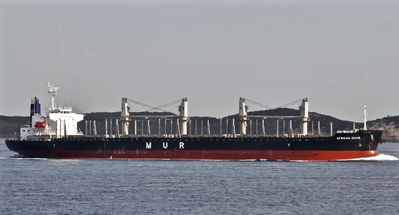 AFRICAN DOVE Bulk Carrier IMO 9682772 photo 4