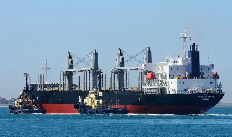 AFRICAN DOVE Bulk Carrier IMO 9682772 photo 5