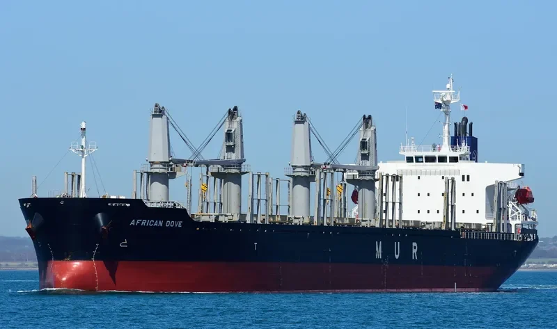 AFRICAN DOVE Bulk Carrier IMO 9682772 photo 6