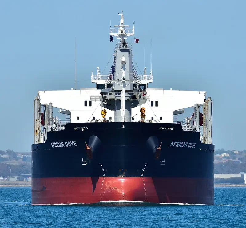 AFRICAN DOVE Bulk Carrier IMO 9682772 photo 7
