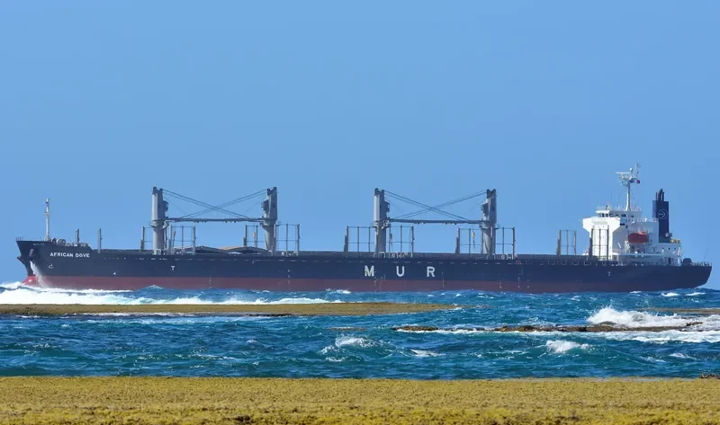 AFRICAN DOVE Bulk Carrier IMO 9682772 photo 8