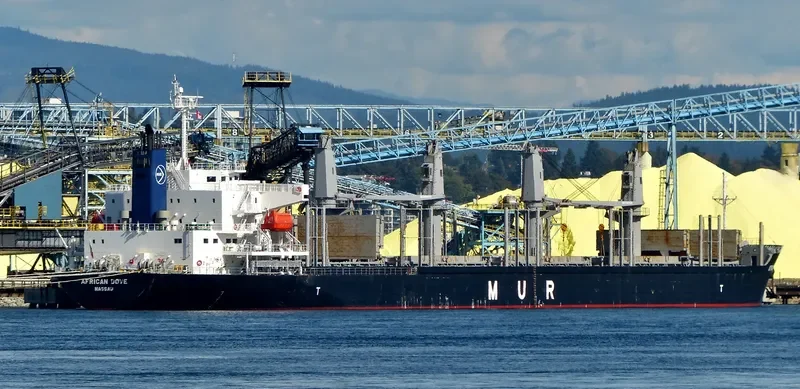 AFRICAN DOVE Bulk Carrier IMO 9682772 photo 9