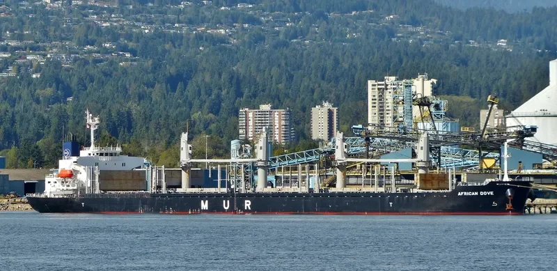 AFRICAN DOVE Bulk Carrier IMO 9682772 photo 10