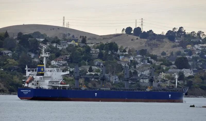 THEMISTOCLES Bulk Carrier IMO 9682837 photo 3