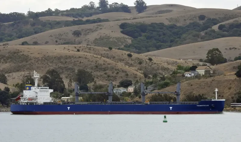 THEMISTOCLES Bulk Carrier IMO 9682837 photo 4