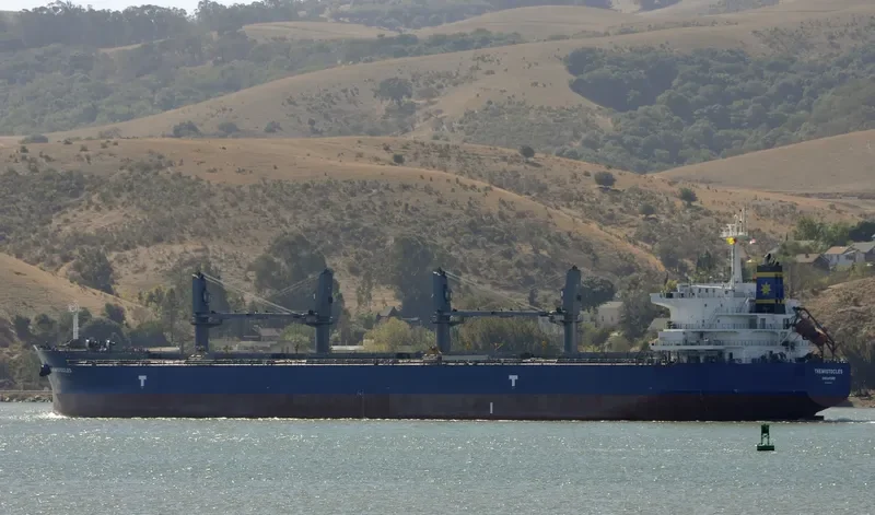 THEMISTOCLES Bulk Carrier IMO 9682837 photo 5