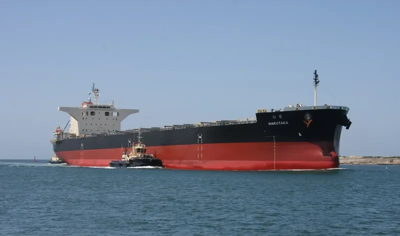 HAKUTAKA Bulk Carrier IMO 9682851