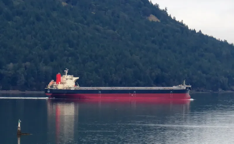 HAKUTAKA Bulk Carrier IMO 9682851 photo 4