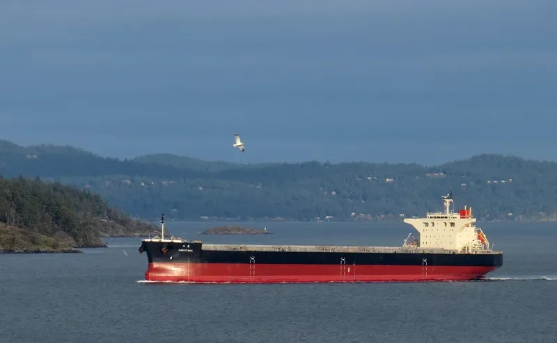 HAKUTAKA Bulk Carrier IMO 9682851 photo 5