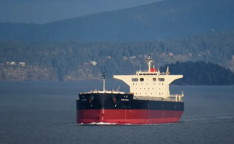 HAKUTAKA Bulk Carrier IMO 9682851 photo 6