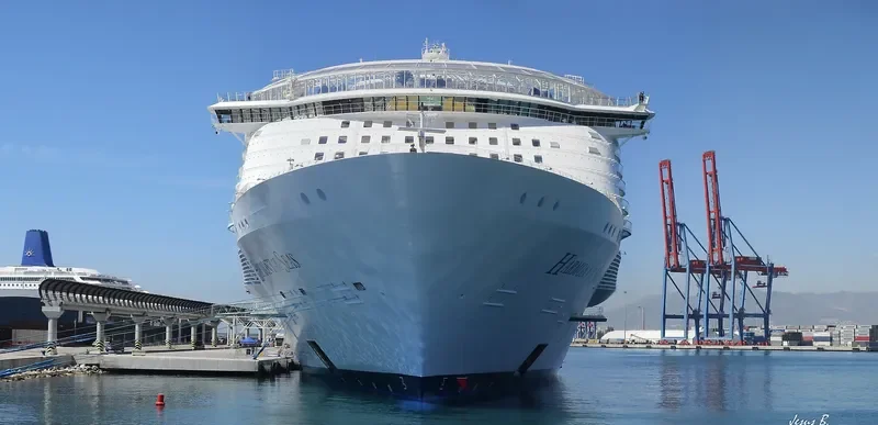 HARMONY OF THE SEAS Passenger Ship IMO 9682875 photo 2