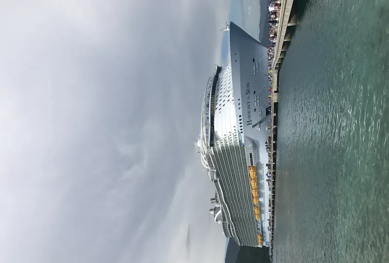 HARMONY OF THE SEAS Passenger Ship IMO 9682875 photo 7
