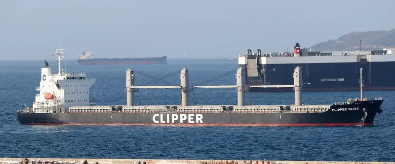 SEA BLISS Bulk Carrier IMO 9682887