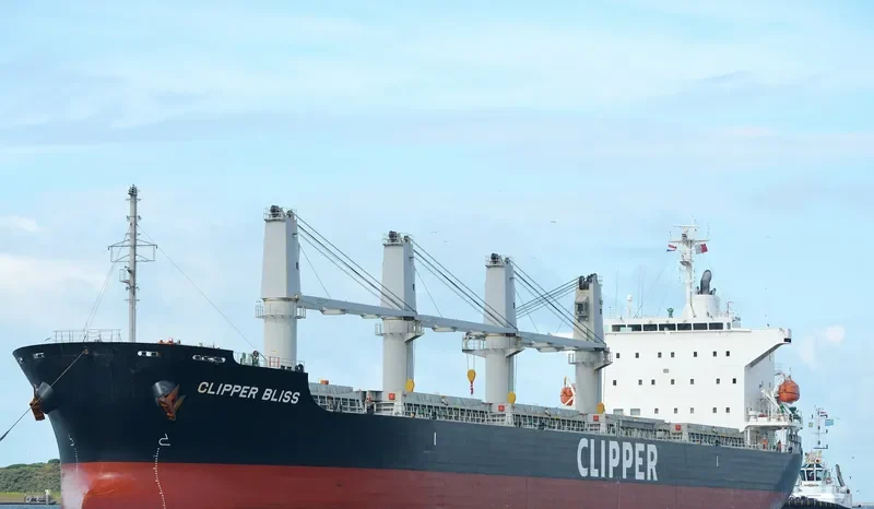 SEA BLISS Bulk Carrier IMO 9682887 photo 2