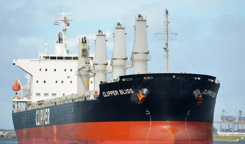 SEA BLISS Bulk Carrier IMO 9682887 photo 3