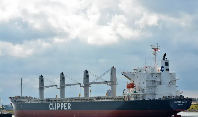 SEA BLISS Bulk Carrier IMO 9682887 photo 4