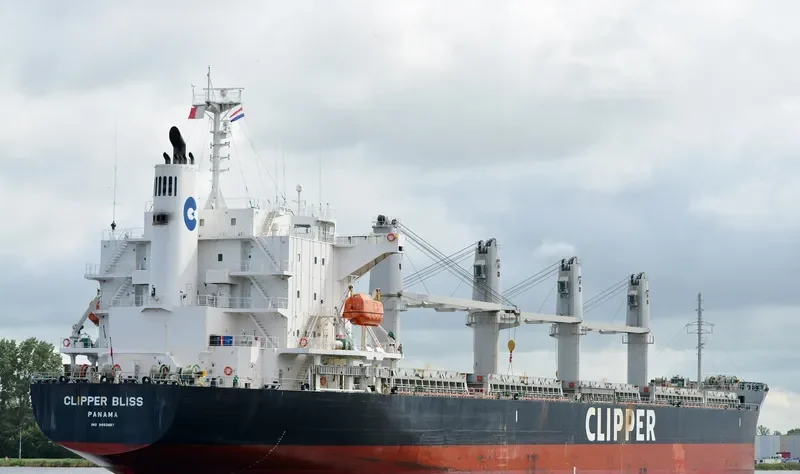 SEA BLISS Bulk Carrier IMO 9682887 photo 5