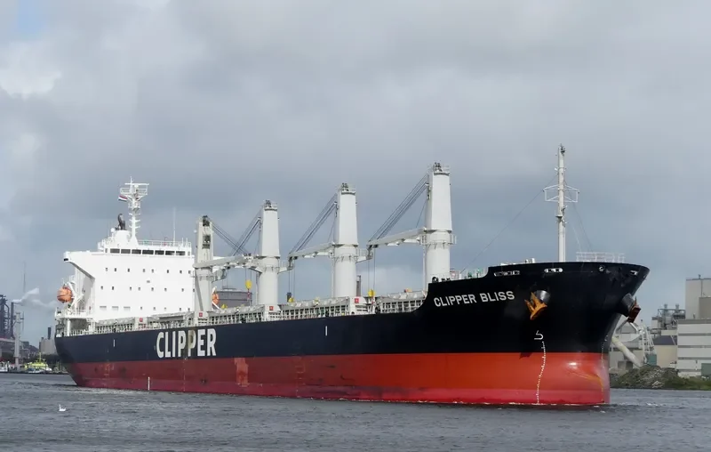 SEA BLISS Bulk Carrier IMO 9682887 photo 6