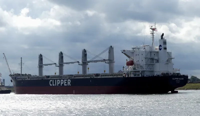 SEA BLISS Bulk Carrier IMO 9682887 photo 7