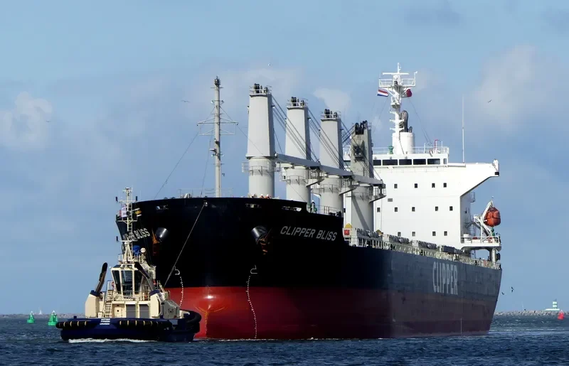 SEA BLISS Bulk Carrier IMO 9682887 photo 8