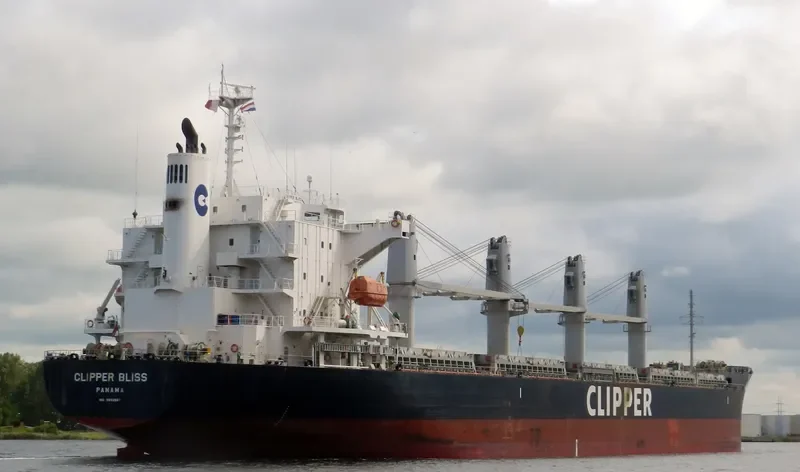 SEA BLISS Bulk Carrier IMO 9682887 photo 9