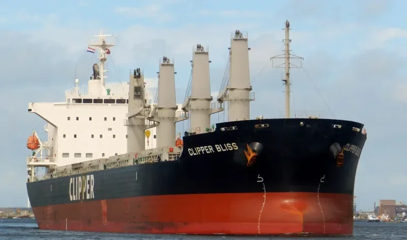 SEA BLISS Bulk Carrier IMO 9682887 photo 10