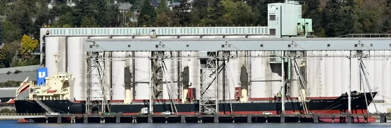 ATLANTIC RAINBOW Bulk Carrier IMO 9682899 photo 7