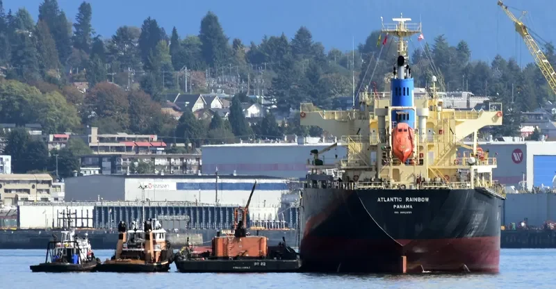 ATLANTIC RAINBOW Bulk Carrier IMO 9682899 photo 10
