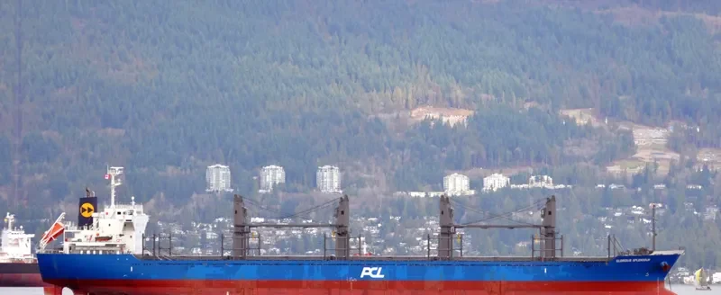 GLORIOUS SPLENDOUR Bulk Carrier IMO 9682904 photo 3