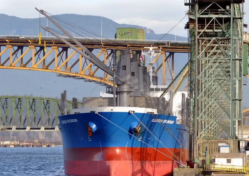 GLORIOUS SPLENDOUR Bulk Carrier IMO 9682904 photo 4