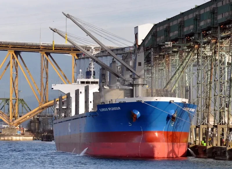 GLORIOUS SPLENDOUR Bulk Carrier IMO 9682904 photo 5