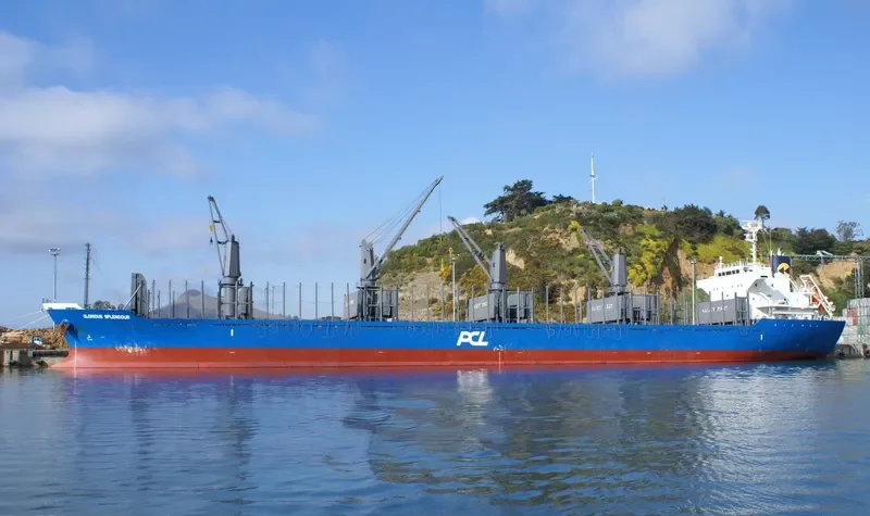 GLORIOUS SPLENDOUR Bulk Carrier IMO 9682904 photo 7