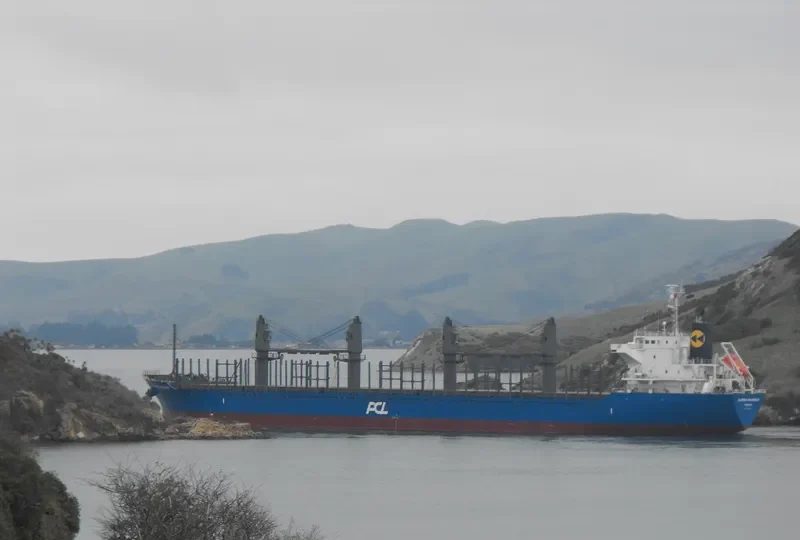 GLORIOUS SPLENDOUR Bulk Carrier IMO 9682904 photo 8