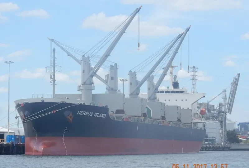 NEREUS ISLAND Bulk Carrier IMO 9682928