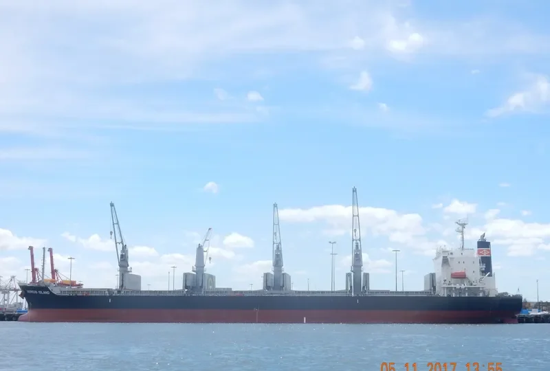 NEREUS ISLAND Bulk Carrier IMO 9682928 photo 2