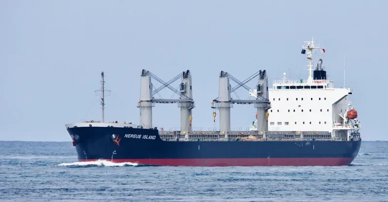 NEREUS ISLAND Bulk Carrier IMO 9682928 photo 4