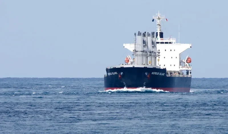 NEREUS ISLAND Bulk Carrier IMO 9682928 photo 5